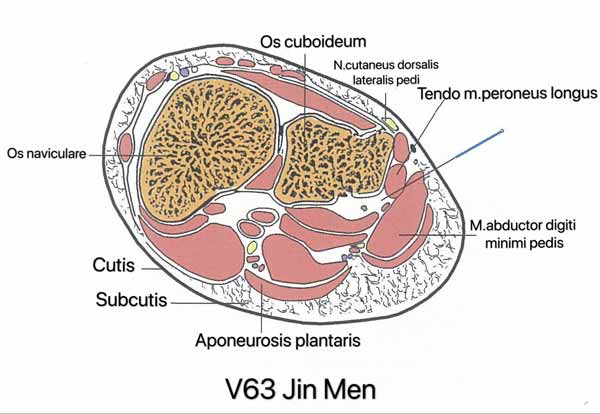 punto vejiga 63