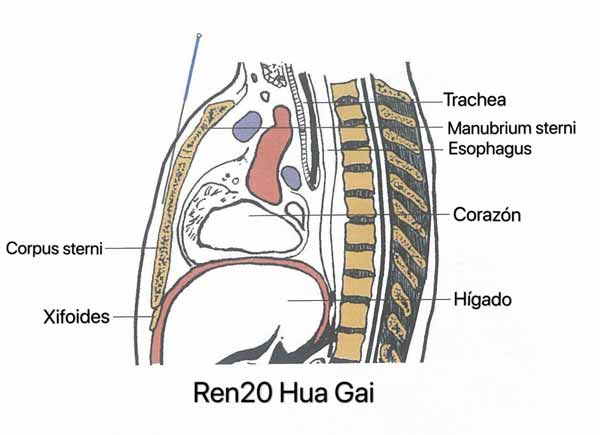 punto ren20