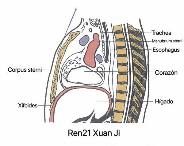 punto ren21